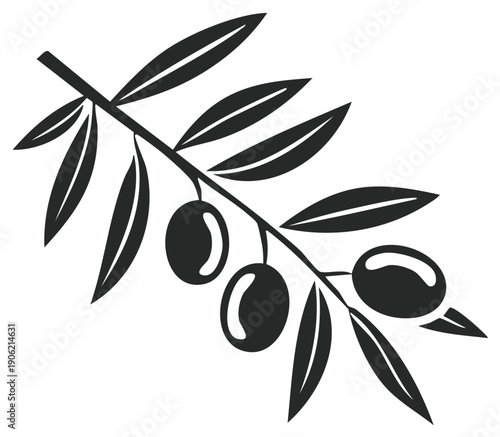 Simple black and white vector illustration of an olive branch with leaves and fruit a symbol of peace and health
