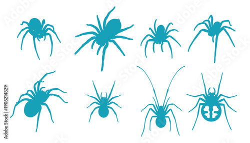 collection of various spiders illustrated in a flat graphic