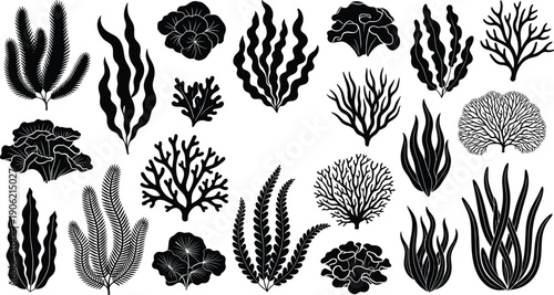 Collection of Underwater Seaweed and Coral Reef Silhouettes Featuring Various Aquatic Plants Algae and Marine Flora Isolated on White Background for Ocean Life Design