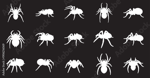 collection of Silhouette spider on black background. danger insect. horror banner, scary poster. 