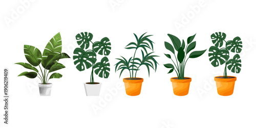 set of potted houseplant vector illustration