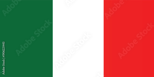 flag of mexico painted with grunge brush isolated on white background, Vector illustration.