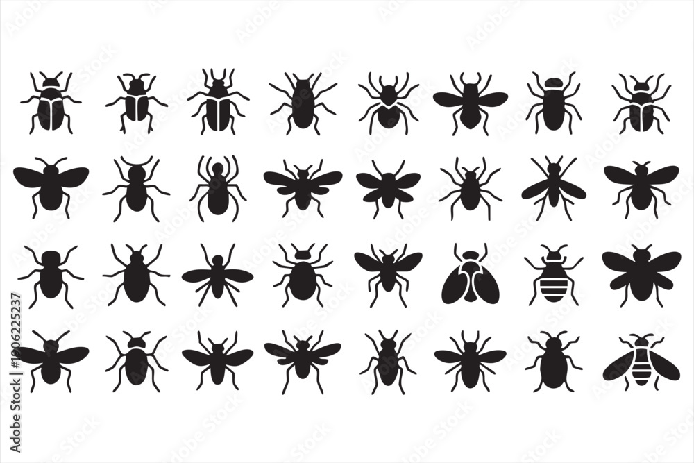 Fototapeta premium Entomology pictograms for biology projects