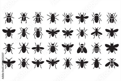 Entomology pictograms for biology projects