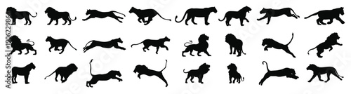  set lion silhouette vector illustration