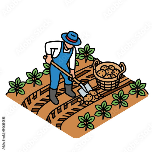 Farmer harvesting potatoes in a field with a shovel and basket.