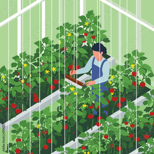 Woman harvesting strawberries in a vertical farm with lush green plants.