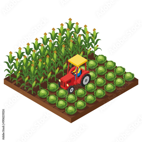Red tractor driving through a cornfield with green crops.