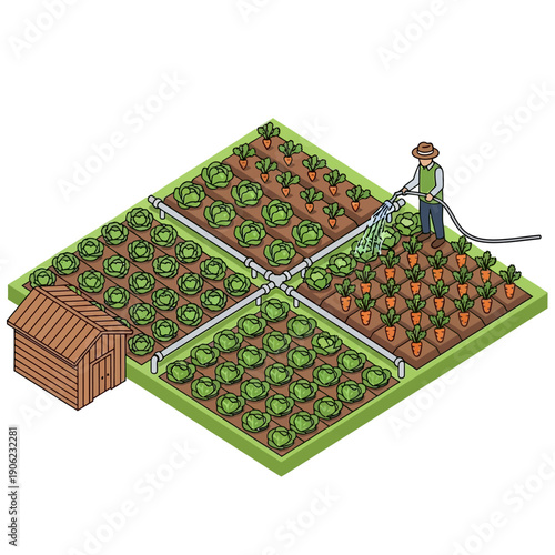 Farmer watering crops in a garden with a shed.