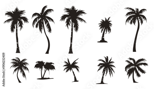 collection of black silhouetted palm trees in various styles