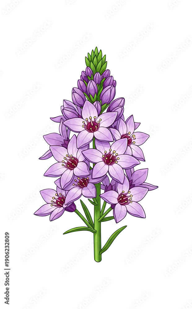 Fototapeta premium Cluster of delicate purple star-shaped flowers with green stems, a beautiful botanical display of natural elegance