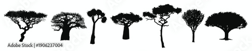 collection with flat silhouettes of african trees flat 