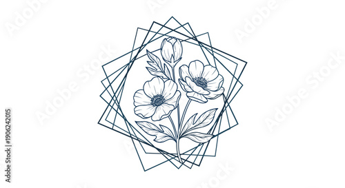 Elegant hand drawn botanical illustration of delicate anemone flowers and buds framed by abstract geometric shapes