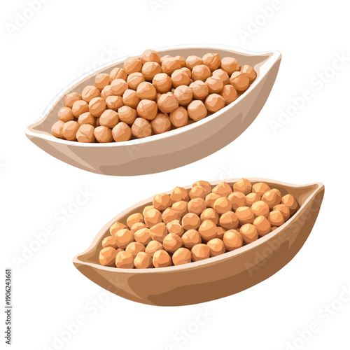 Two wooden spoons filled with a variety of different types of beans isolated on white background, Vector, illustration