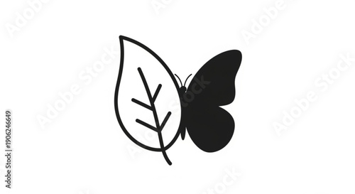 Butterfly on leaf black and white illustration nature symbol