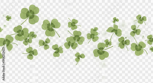 Lucky green four leaf clover leaves isolated on transparent background for decoration and symbolism