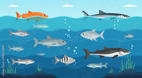 Diverse school of fish swimming in ocean with shark and salmon seaweed and bubbles