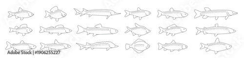 fish set icons in linear style fishing concept symbols