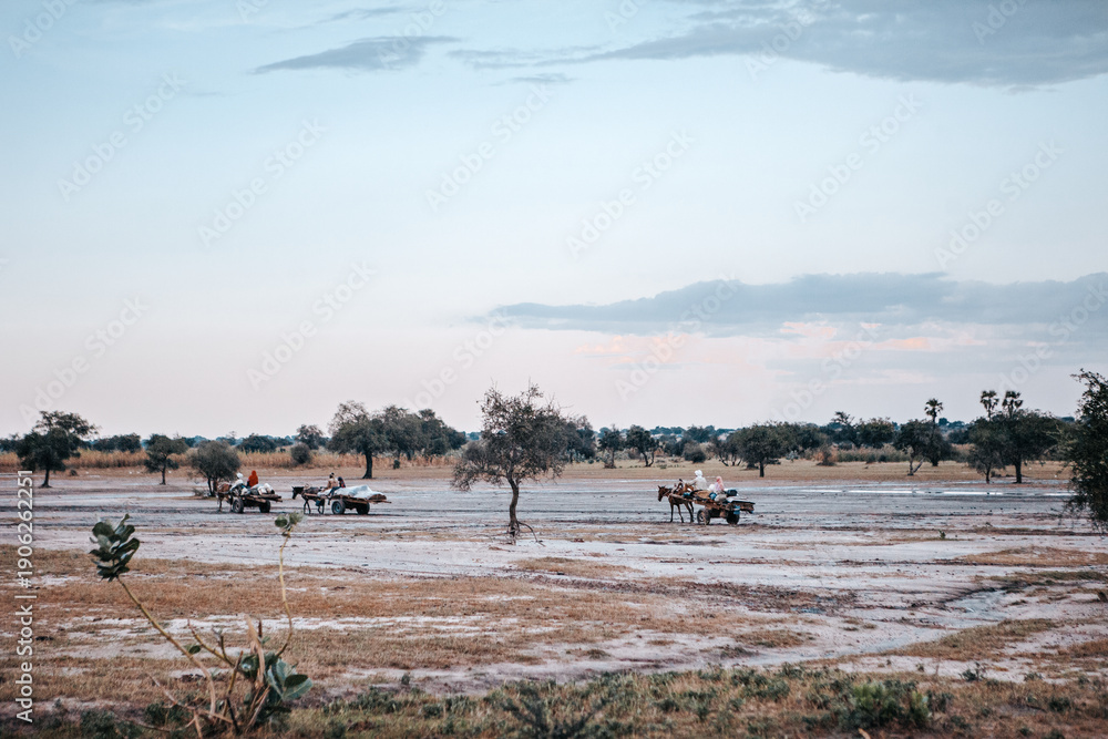 Naklejka premium People Traveling by Horse and Cart in the Ennedi Desert.