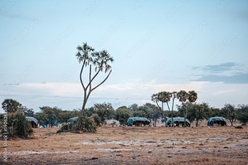 Fototapeta premium A cluster of nomadic huts stands together