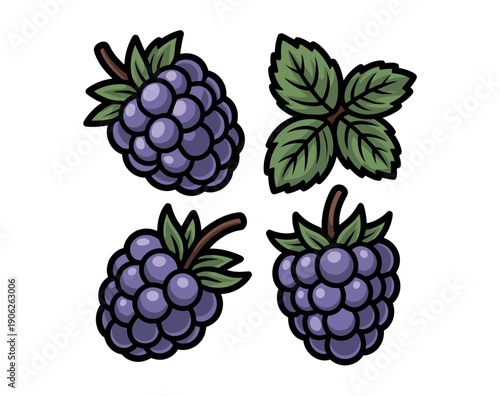 A colorful illustration of blackberries and leaves on a white background