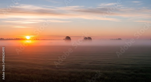 Wallpaper Mural Sunrise over field and mist Torontodigital.ca