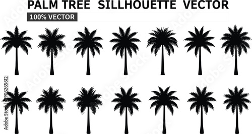 Premium collection of realistic palm tree silhouettes featuring various tropical species in black vector format for summer travel and botanical design