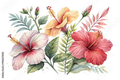 Watercolor Hibiscus Tropical Flower Illustration, Exotic Floral Art, vector isolated on white background