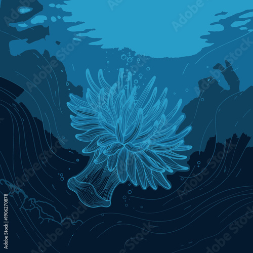 Detailed view of a sea anemone.