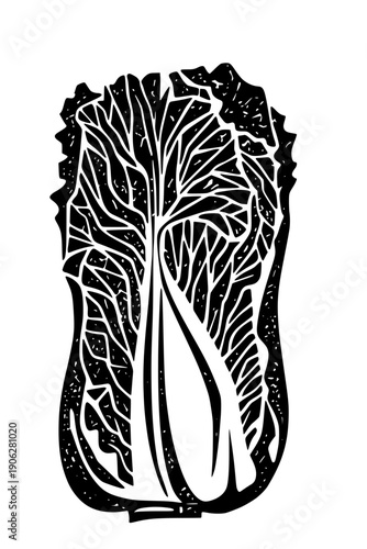 Stylized black silhouette of a Napa cabbage or Chinese cabbage. High-contrast linocut-style graphic featuring intricate leaf textures and organic vein patterns, ideal for food, farming, or healthy eat