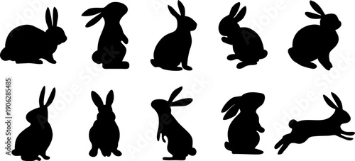 Black Rabbit Bunny Silhouette Collection