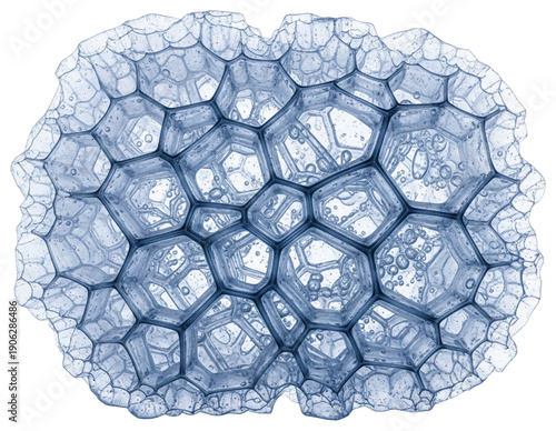 Macro view of blue soap bubble lattice foam structure on a transparent background