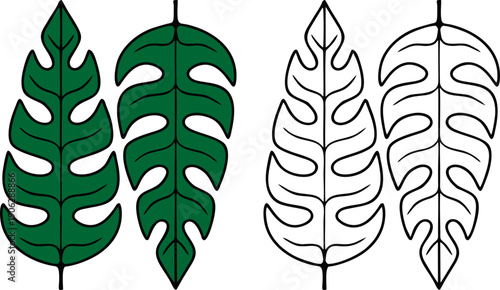 Monstera Deliciosa Leaf Outline Set