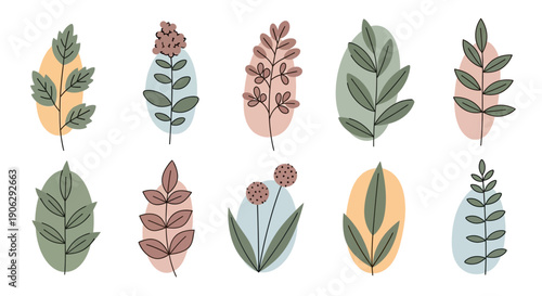 Abstract botanical illustrations with pastel color blobs, minimalist plant elements