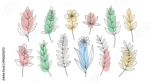 Abstract Botanical Line Art: Delicate Flowers and Leaves with Pastel Color Blocks