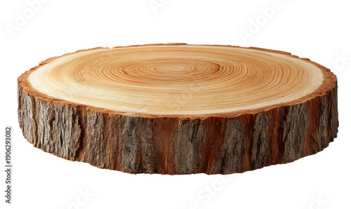 Natural wood slice with visible growth rings and bark texture on black tree trunk, Isolated, Png Transparent Background