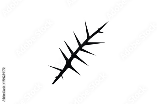Thorny branch silhouette with sharp spikes isolated on white background desert plant element botanical graphic