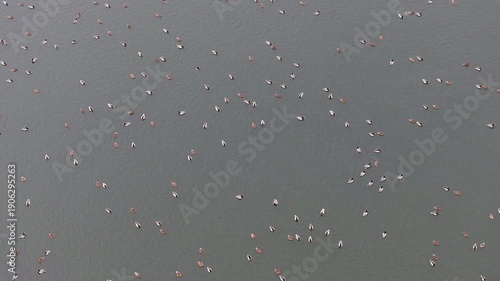 Aerial Vistula River ice water winter ducks Poland overhead 4K. Winter season cold arctic temperatures, ice flows and dangerous ice jams. Longest river in Poland. To Baltic Sea. Transportation.