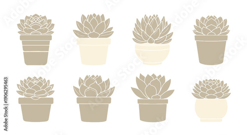 Minimalist potted succulent plant illustrations flat design style featuring soft beige and cream tones.