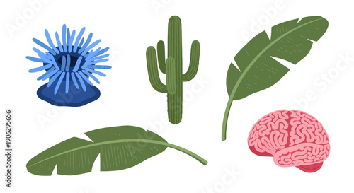 Vibrant flat vector illustrations of diverse subjects marine life desert plant tropical leaves and human brain.
