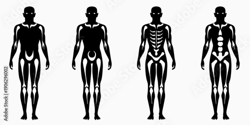 Progressive skeletal and muscular representation of human figures