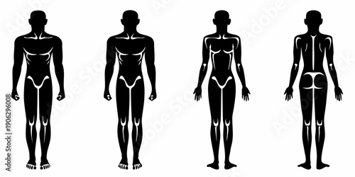 Four stylized silhouettes of human figures showcasing varying body types