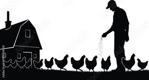 Farmer feeding chickens at poultry farm silhouette rural agriculture livestock care vector illustration barnyard scene concept design