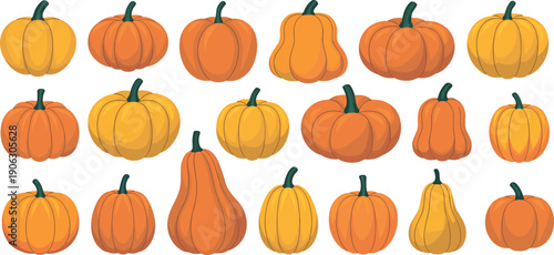 Collection of diverse pumpkins illustration with orange, yellow, ridged, round, elongated shapes, seasonal harvest design, autumn vegetable set, white background, agriculture concept