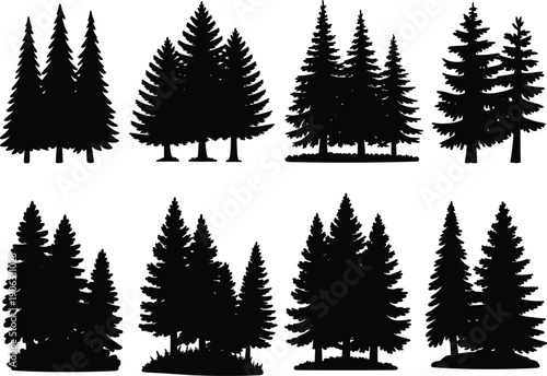 Pine and spruce tree silhouettes set, evergreen forest elements, black conifer trees illustration isolated on white background