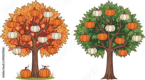 Autumn pumpkin tree illustration showing fall harvest and seasonal garden concept with decorative pumpkins on branches in colorful flat vector style design elements