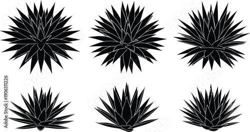Agave plant silhouette set featuring spiky leaves, desert succulent shapes and botanical elements in minimal black vector style for design, branding and decor