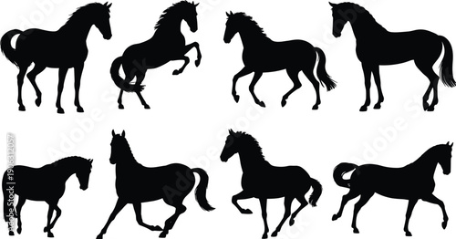Horse silhouettes collection, running walking standing poses, majestic equine animal motion, farm wildlife illustration set, vector icons, isolated design elements