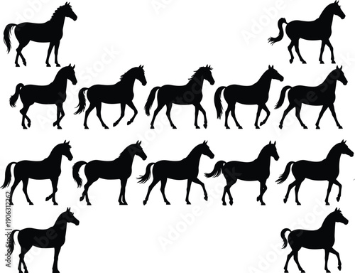 Fotografie Horse silhouettes collection, running walking standing poses, equine animal moti