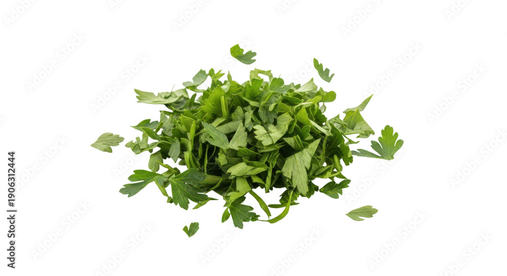 Obraz premium Fresh parsley leaves isolated on transparent background for culinary or herbal use